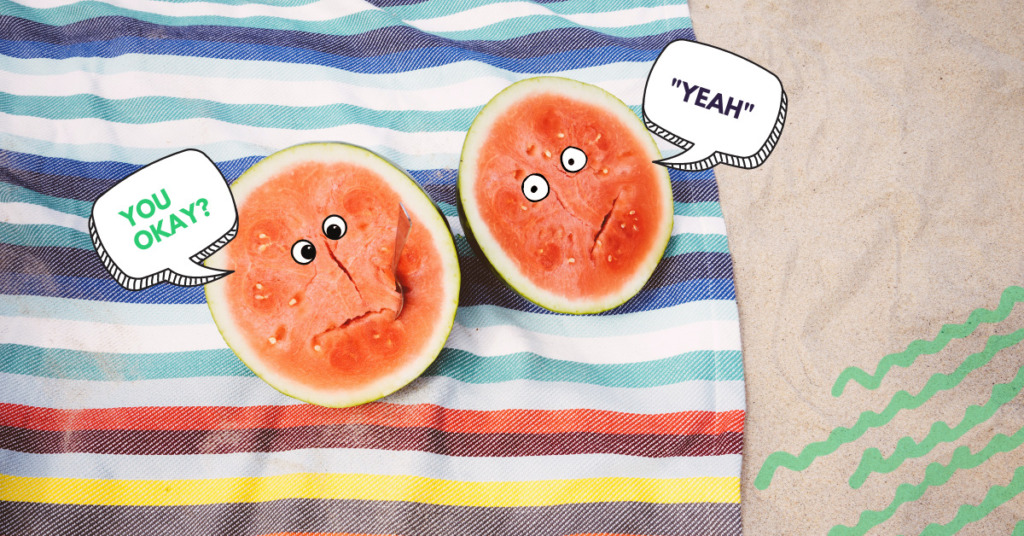 perfect picnic watermelon