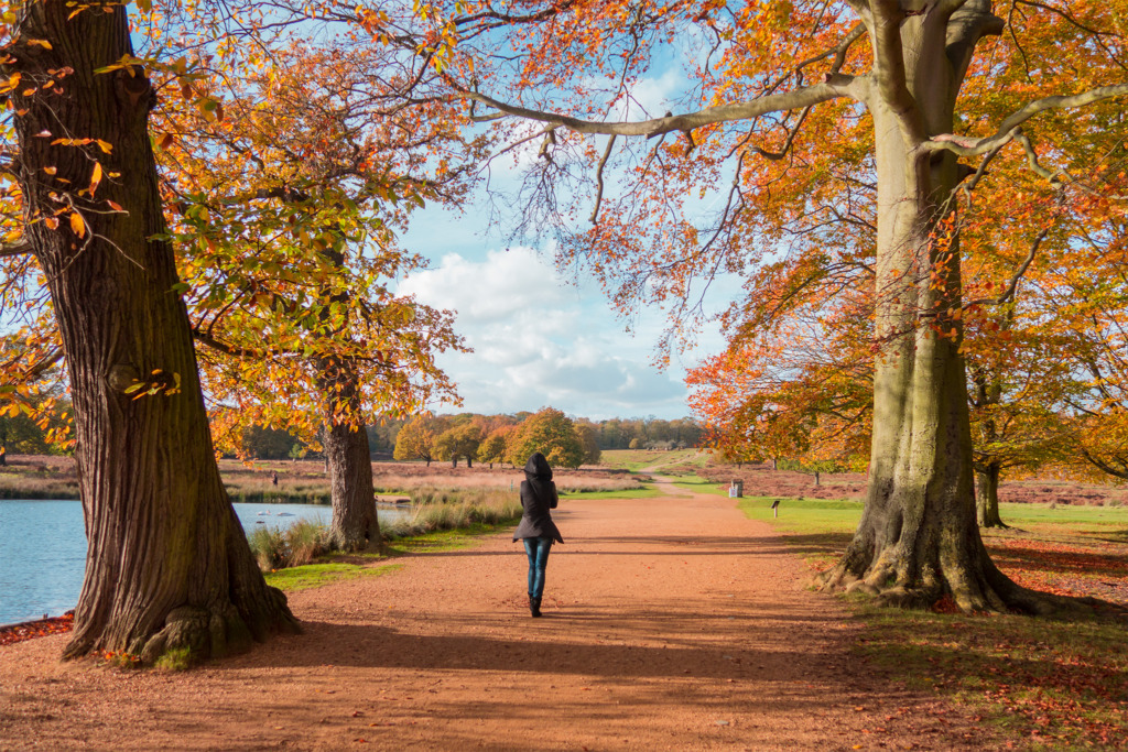 richmond park