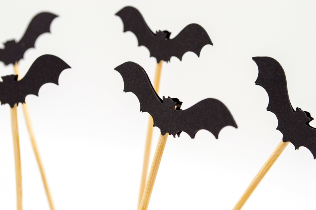 Halloween bats